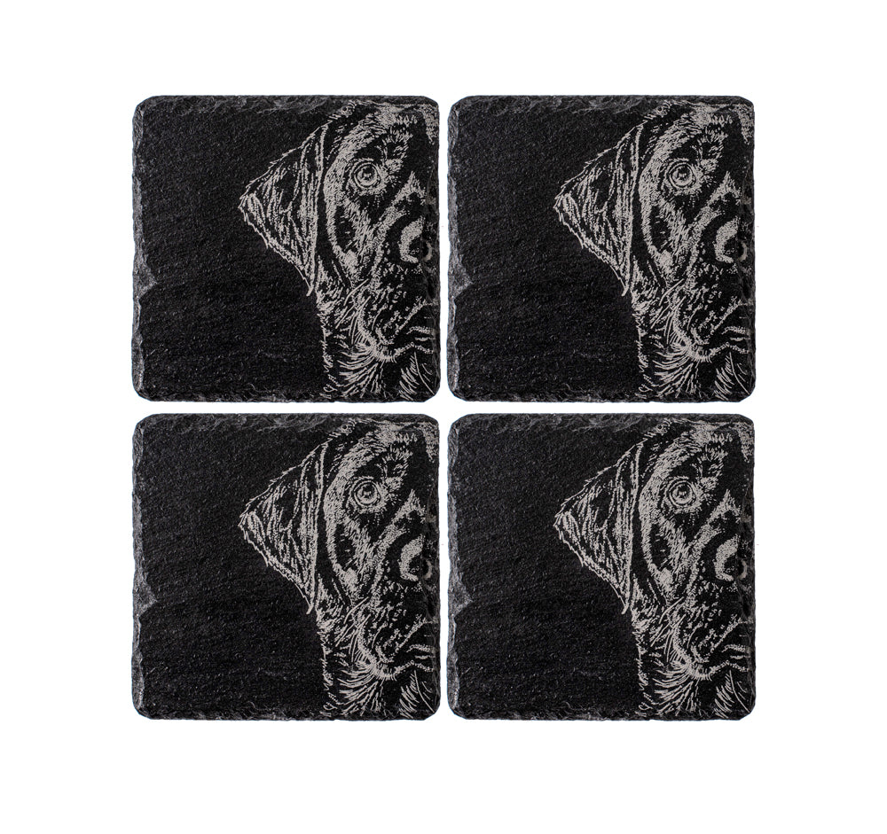 4 Slate Coasters - Labrador